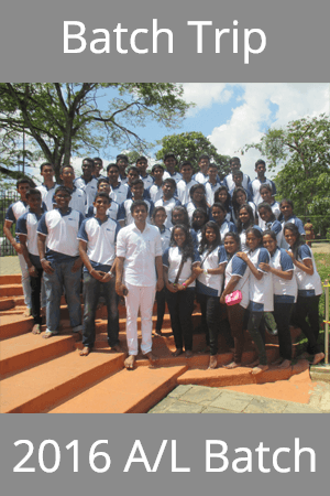 Batch Trip